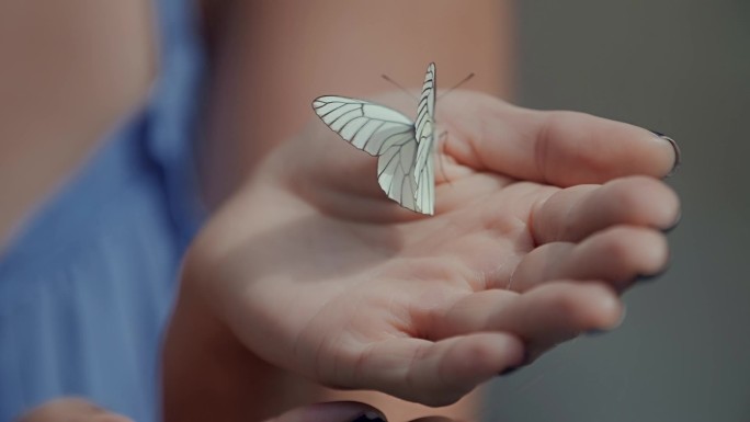 女人手里拿着一只蝴蝶