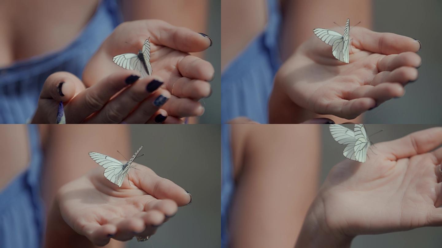 女人手里拿着一只蝴蝶