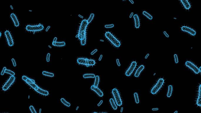 4K通道微生物细菌视频