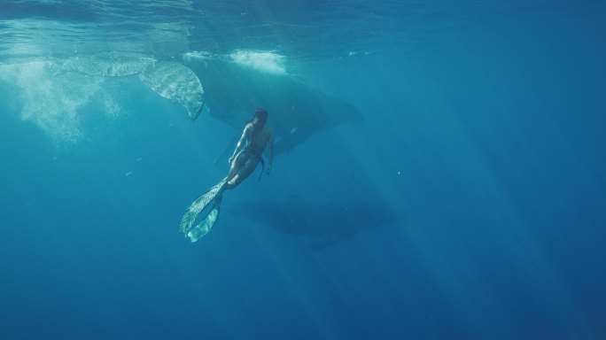 美女与鲸鱼一起游泳