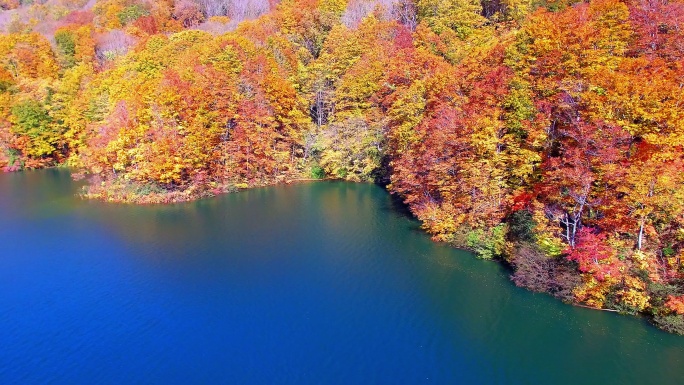 湖边的秋叶秋色油画般风景湖畔景色高清LE