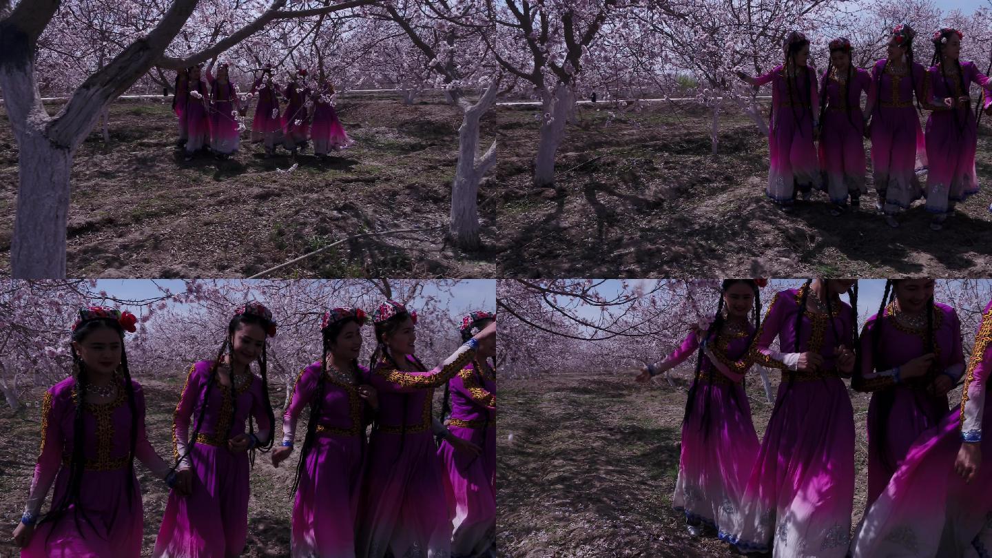 杏花树下的舞蹈