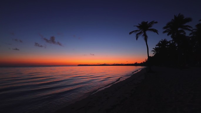 热带海滩上美丽的日出和椰子树