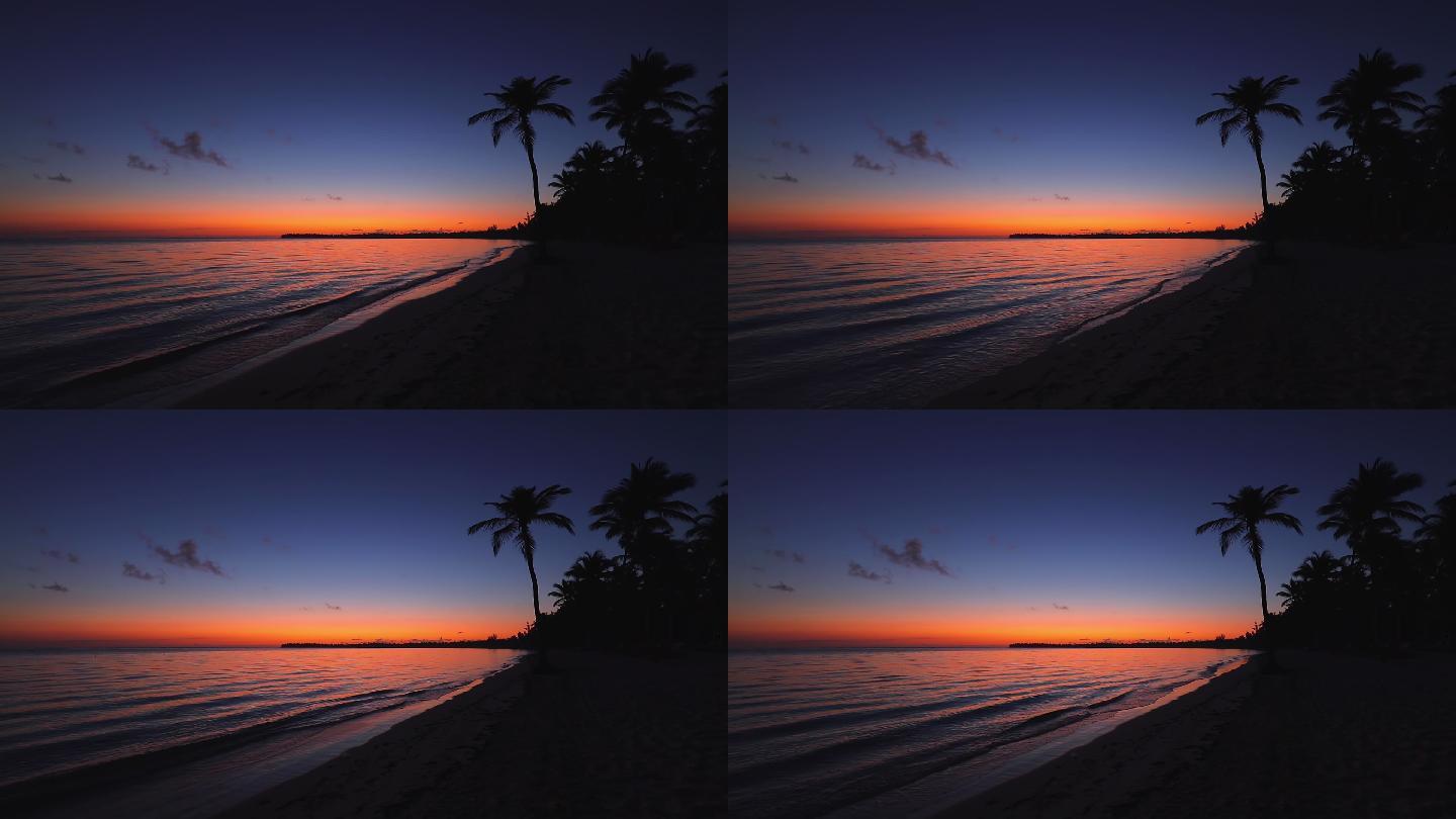 热带海滩上美丽的日出和椰子树