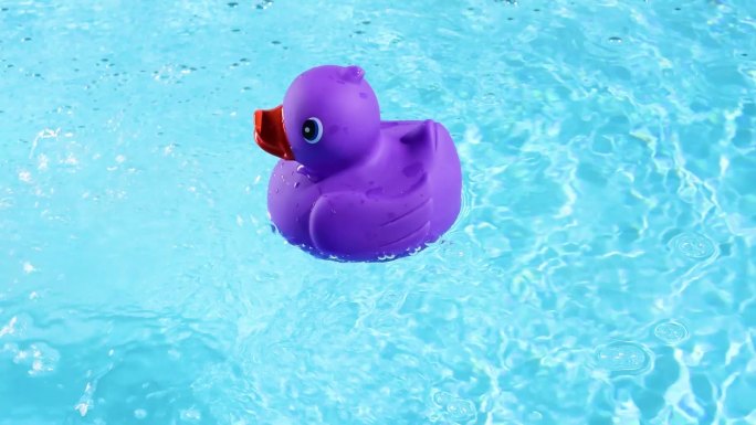 一只紫色的橡皮鸭在游泳漂浮