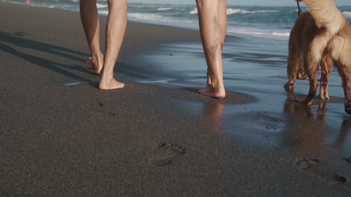 夏日，一对夫妇和狗在沙滩上行走