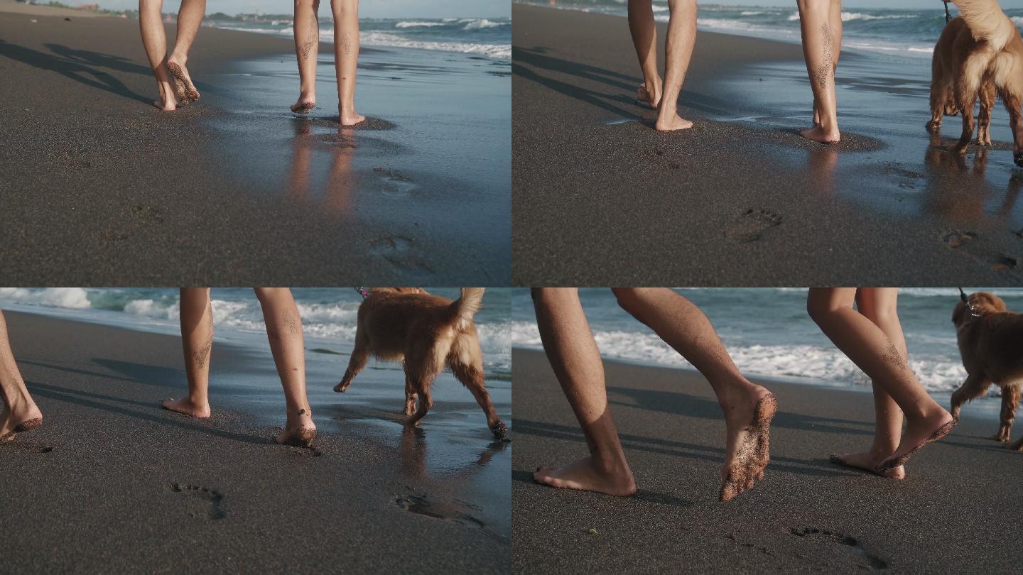 夏日，一对夫妇和狗在沙滩上行走