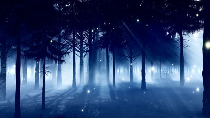 冬季雪夜白桦树林体积光透光中景