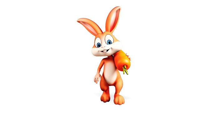 带胡萝卜的兔子视频素材