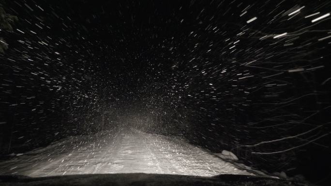 汽车正沿着一条被雪覆盖的森林路行驶。