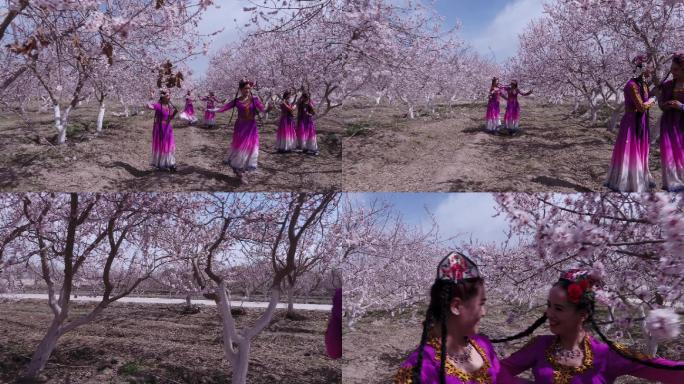 杏花树下的舞蹈