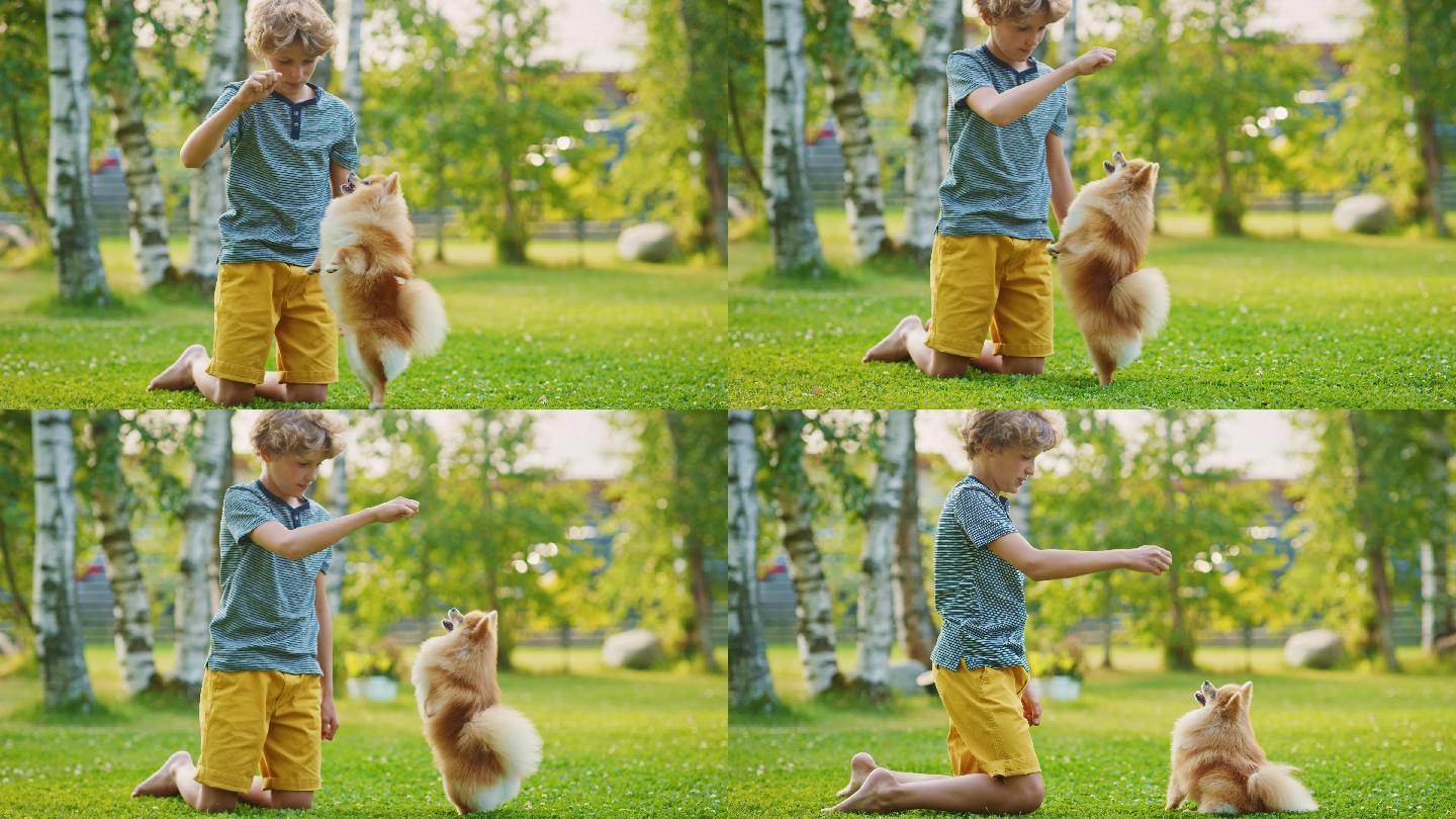 小男孩在后院和可爱的小狗玩耍