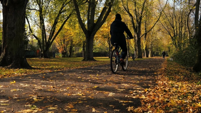 一名男子在秋天阳光明媚的日子骑自行车