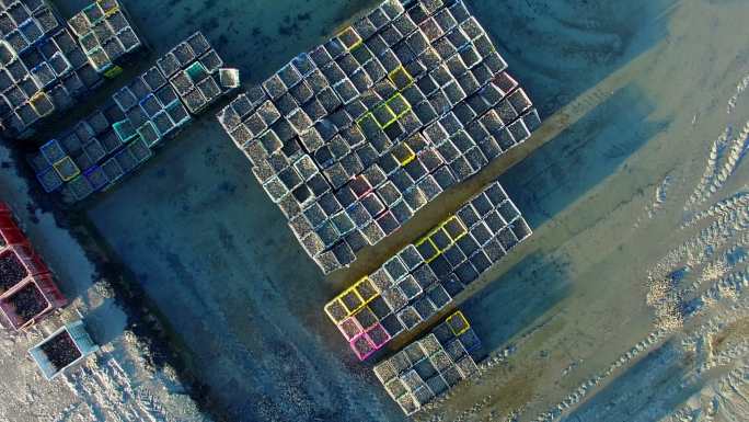 鸟瞰卡纳克牡蛎养殖