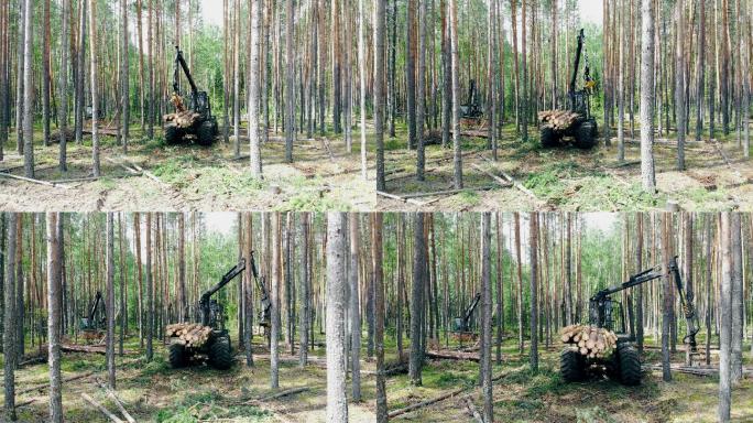 工业车辆正在处理森林中砍伐的树木