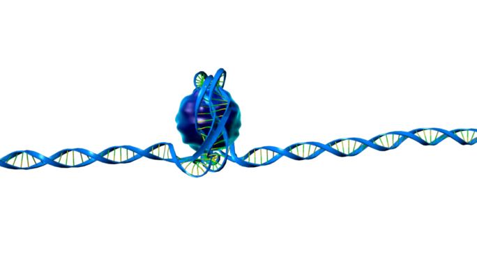 染色质是细胞中的一种大分子复合体