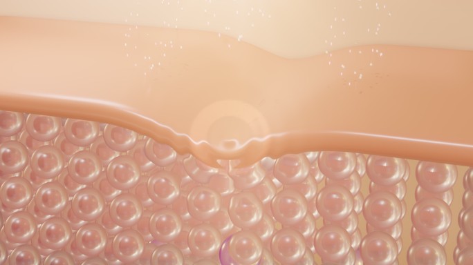 动画血清和维生素滴在皮肤细胞上。