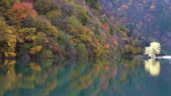 川西高原彩林湖泊