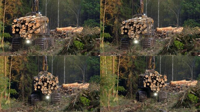 满载砍伐树木树干的伐木机