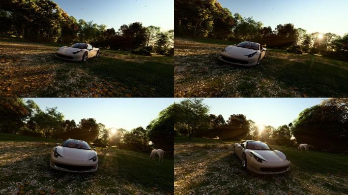 白色豪华跑车白色豪华跑车实拍户外野外