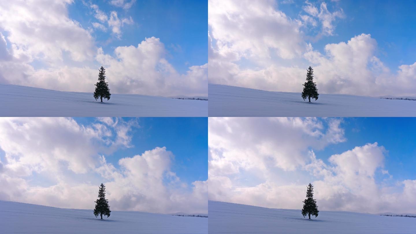 美丽的雪山冰雪世界雪白雪峰山顶雪景