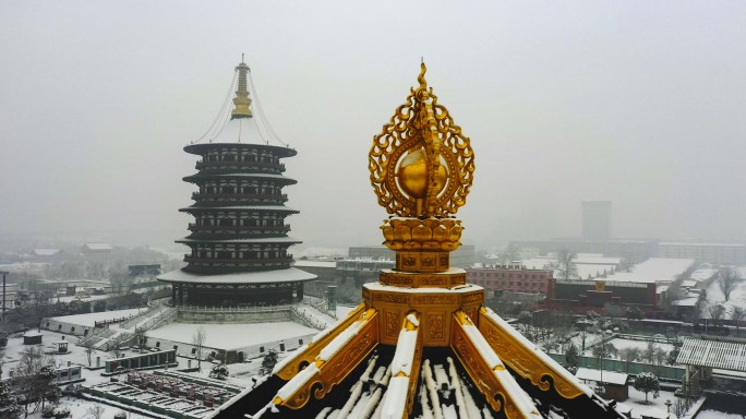 雪景城市地标风光合集