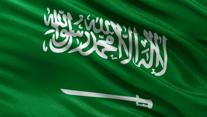 沙特阿拉伯国旗旗帜国旗党政国徽