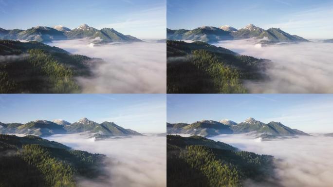雾蒙蒙的森林山顶云烟绿水青山群山云雾