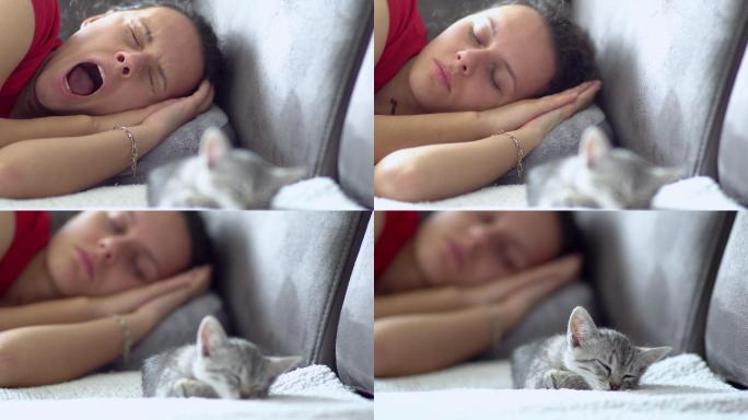在家里的沙发上，女人和她可爱的小猫小睡