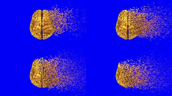 金脑解体3D动画。