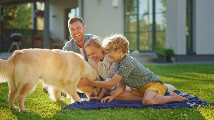 父亲、母亲和儿子在草坪上和宠物狗玩耍