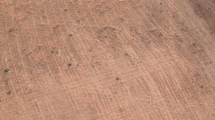 飞越棕色干燥农田的鸟瞰图
