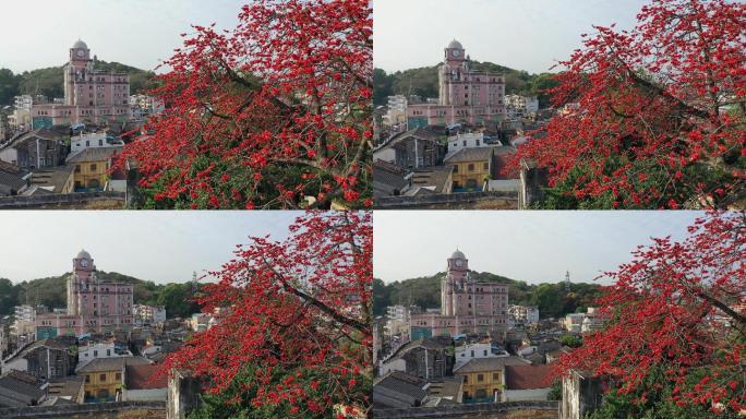 【4K超清】中山市西山木棉花与中山百货