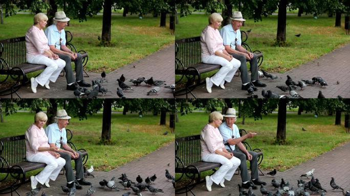 可爱的老年夫妇在公园里喂鸽子