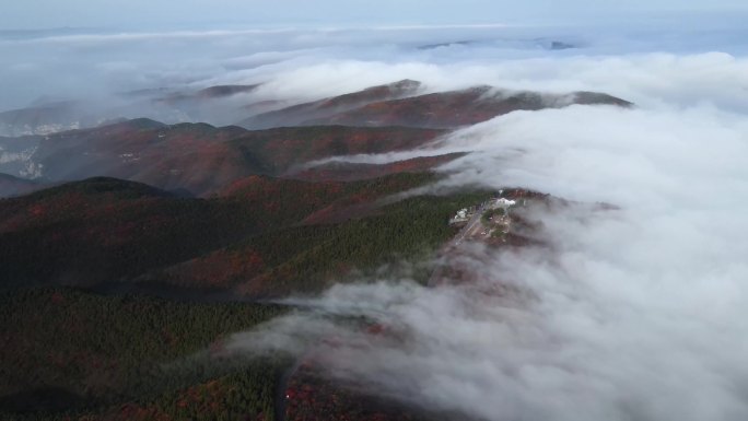 漫山遍野的红叶山上云海翻腾，河山如画。