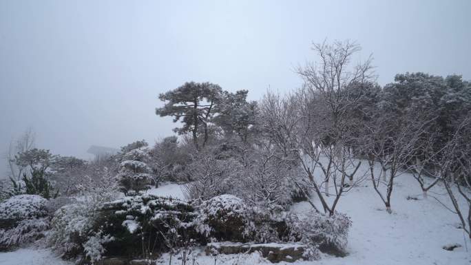 冬天下雪公园绿化积雪白雪皑皑摇镜头