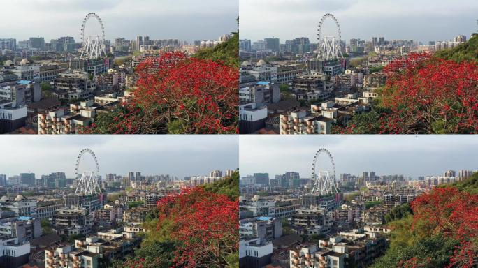 【4K超清】中山市烟墩山木棉花兴中摩天轮