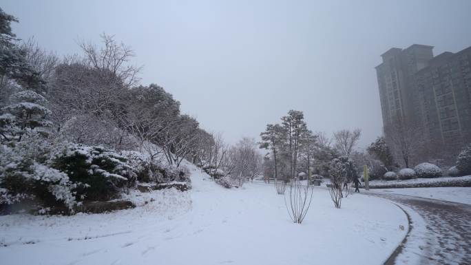 冬天公园雪景平移镜头