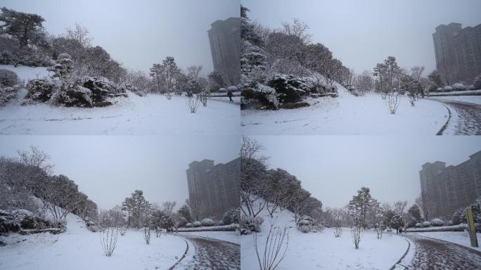 冬天公园雪景平移镜头