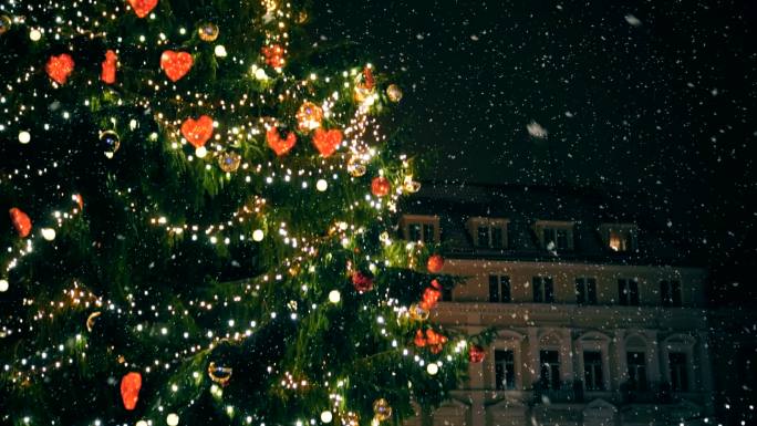 市政厅广场的圣诞树。