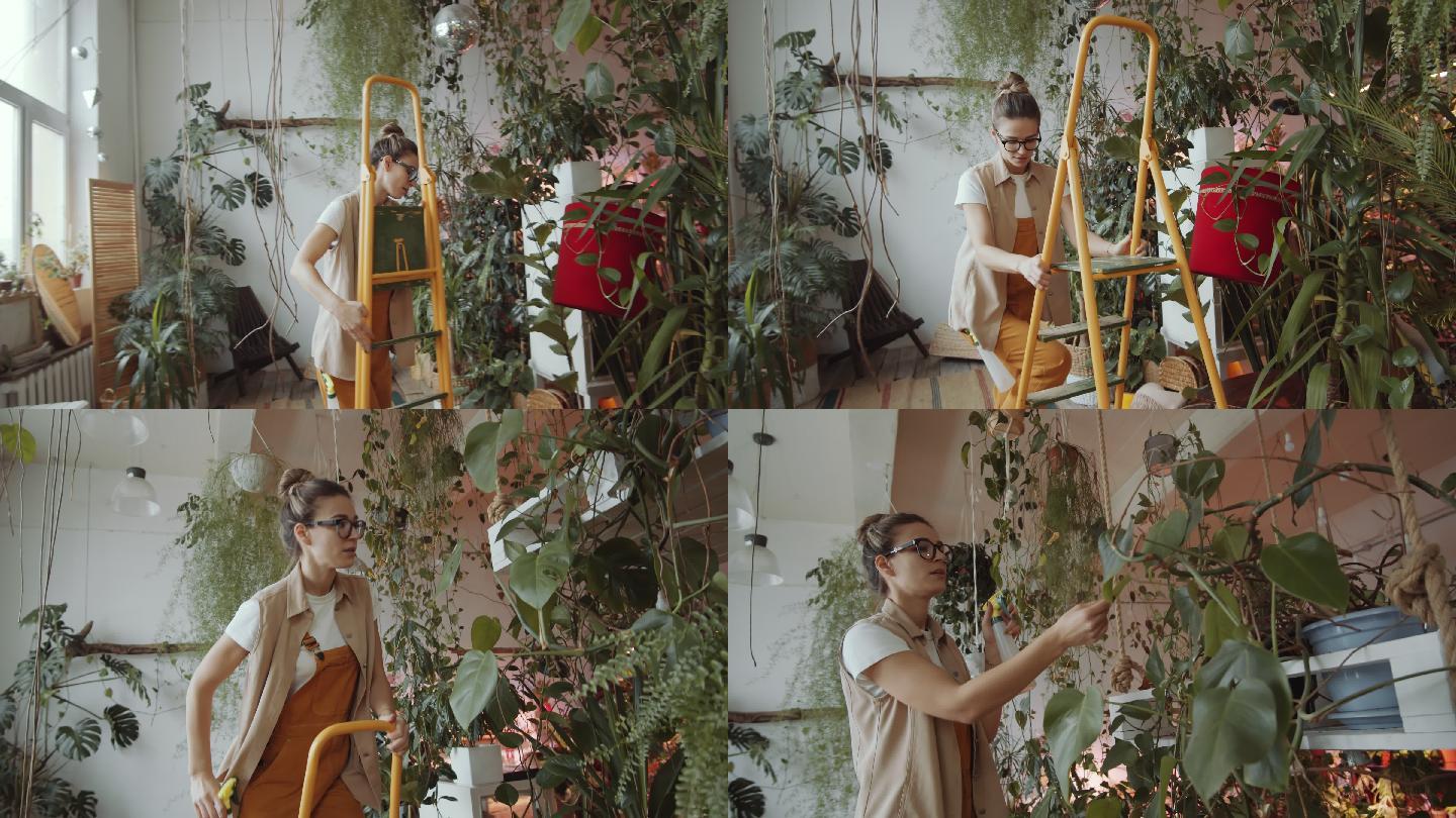 漂亮女人在室内花园里使用梯子喷洒植物