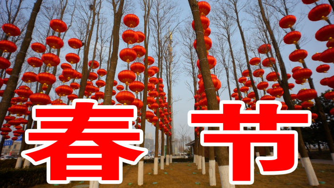 春节红灯笼视频素材