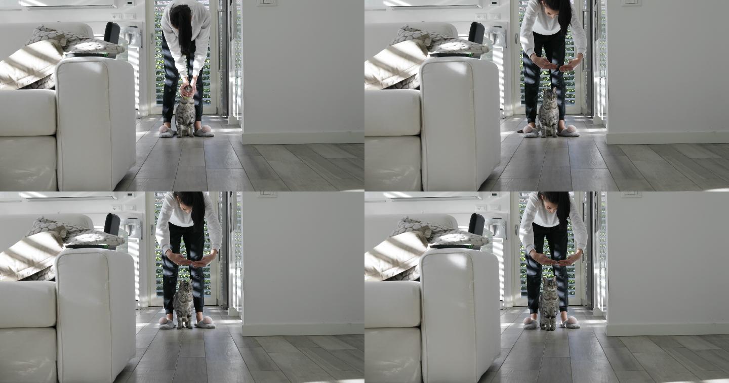 训练猫咪的女人光影别墅玩耍豪宅温馨简装