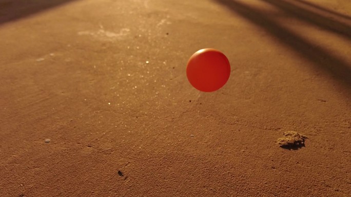 阳光地面乒乓球感动跳动时光记忆回忆