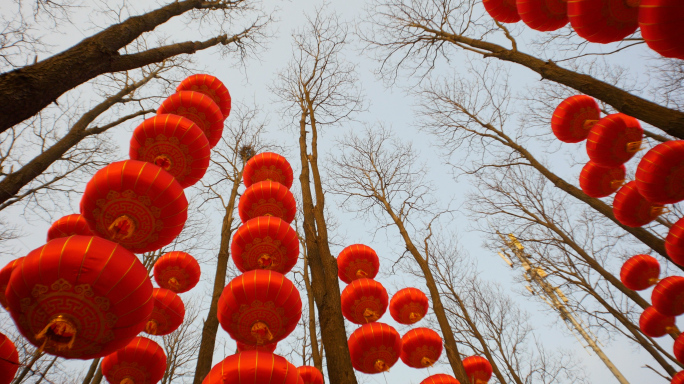 虎年春节，挂红灯笼