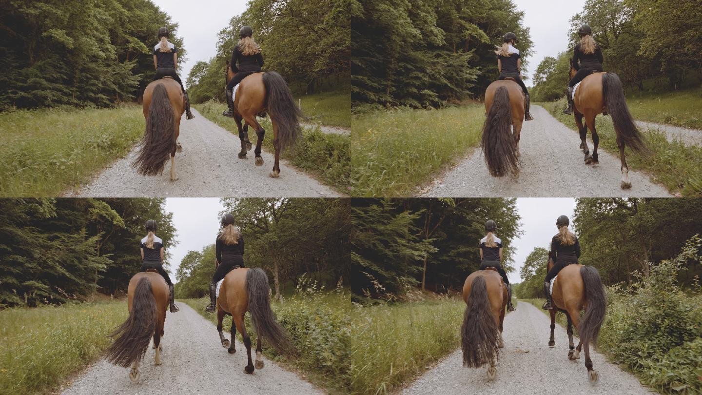 两名女骑手在森林中骑马