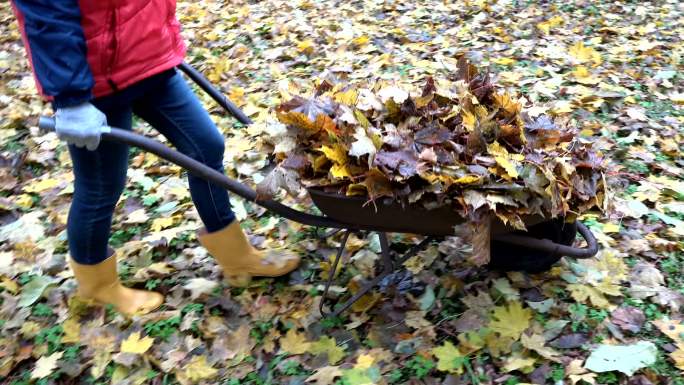妇女推一车干树叶，不小心把它倒在了地上。