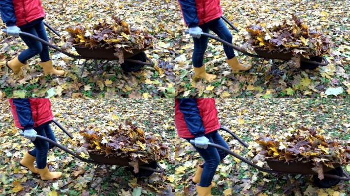 妇女推一车干树叶，不小心把它倒在了地上。