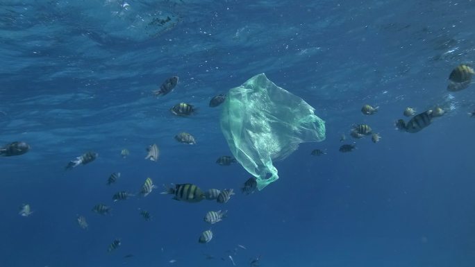 水下塑料污染海洋。