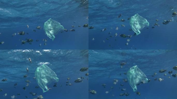 水下塑料污染海洋。